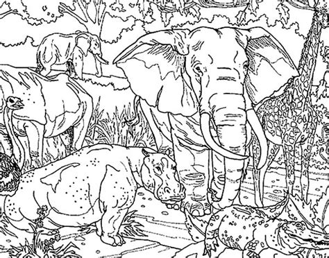 African Elephant And Other Protected Animals Coloring