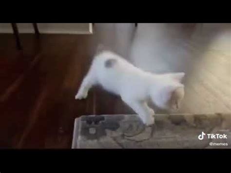 Check spelling or type a new query. Somebody come get her she dancing like a stripper - YouTube