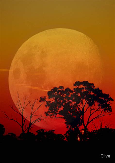 Moonlight Silhouette By Clive Redbubble