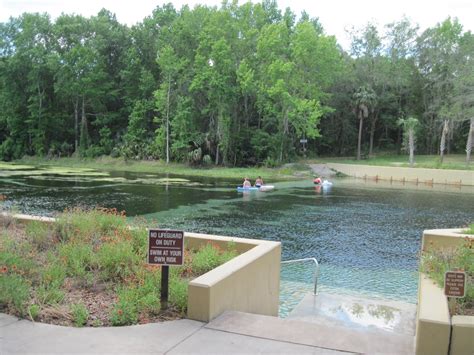 Salt springs is seated among the ocala national forest. Spring Trip 2011: Salt Springs Recreational Area, Ocala ...