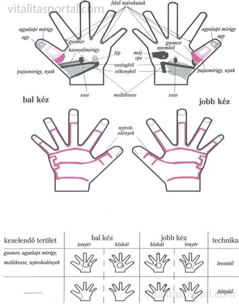 A csalánkiütés (urticaria) a test bármely részén jelentkezhet változatos nagyságú, viszkető, enyhén kiemelkedő, fehér vagy halványvörös bőrelváltozások formájában. Csalánkiütés tünetei