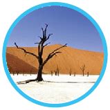 Ecosystem For Kids, Science Activities For Kids 1st to 5th Grades
