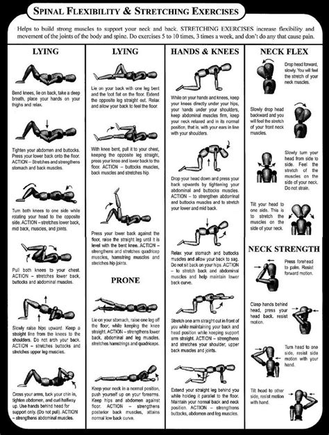 Printable Stretch Strap Exercises Pdf