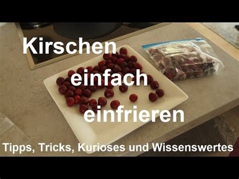 Kirschen einfrieren
