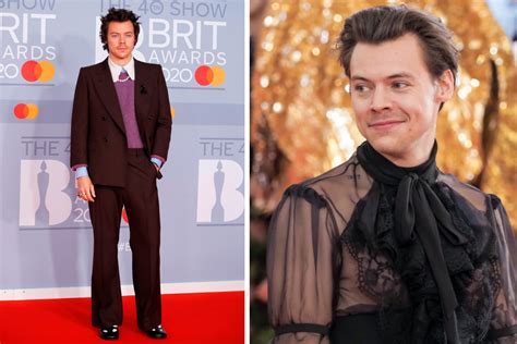 What Has Harry Styles Said About His Sexuality The Us Sun