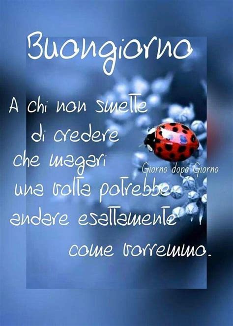 Se volete ricevere nostre informazioni via whatsapp, in maniera anonima e senza fastidiose chat di gruppo, iscrivetevi al nostro broadcast, la nostra nuova modalità di comunicazione. 45+ Buongiorno immagini belle per il tuo WhatsApp ...
