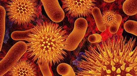 Quimiossíntese O Que é E Como Acontece A Fotossíntese Das Bactérias