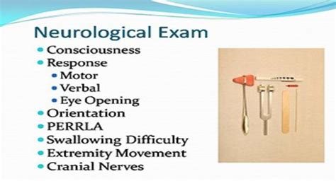 Download Free Medical Neuro Assessment Powerpoint Presentation