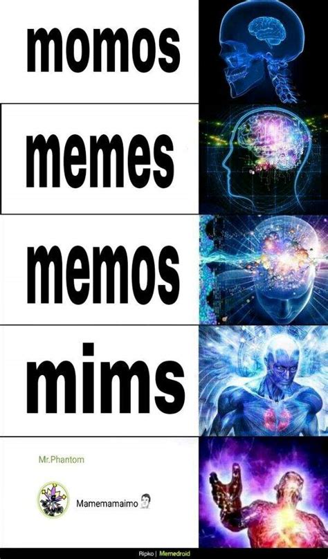 Memes De Cerebros Momazos Amino