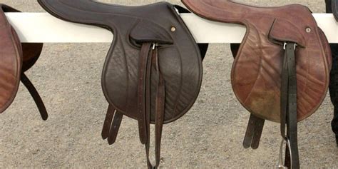 Saddle Fit Can Be A Problem For Racehorses The Horse