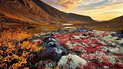Nature Landscape Mountains Dawn Rocks Flowers Water Lake Clouds
