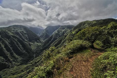 Young woman and man hikers walking in beautiful lush hawaiian forest nature landscape in mountains. Waihee Valley from the Waihee Ridge Trail, Maui | This ...