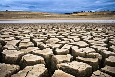 Desertificazione Nellagro Pontino Le Azioni Per Limitare La