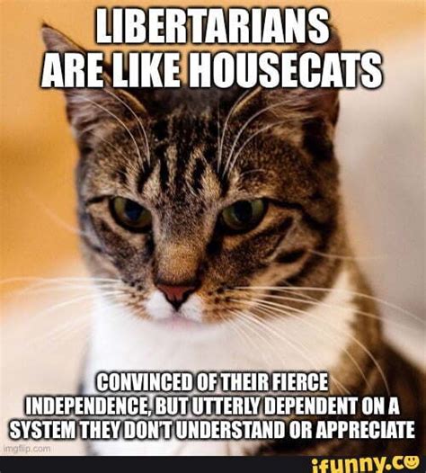 Libertarians Are Like Housecats Convinced Of Their Fierce Independence
