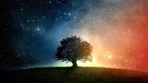 Trees And Stars Wallpapers Top Free Trees And Stars Backgrounds
