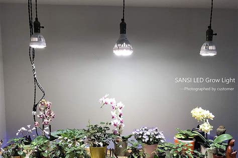 You should, however, not dismiss them due to their price. Amazon.com : SANSI 40W Daylight LED Plant Light Bulb Full ...