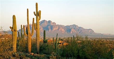 13 Reasons To Visit Maricopa In 2013 Experience Arizona