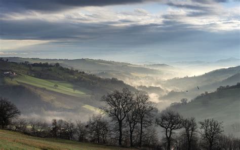 Online Crop Green Trees Nature Landscape Clouds Trees Hd