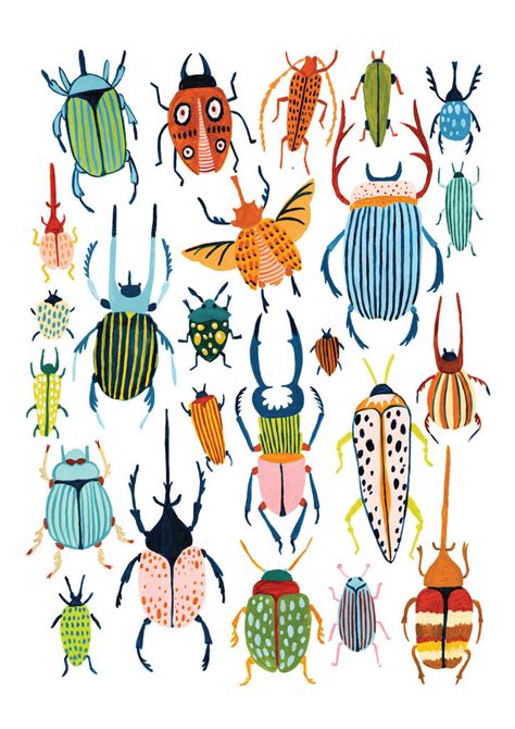 Beetle Art Print By Amber Davenport