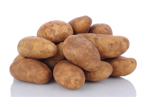 Potato Russet Love Fresh Foods