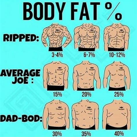 How Much Fat You Have In Your Body Fitness Tips Daily Workout