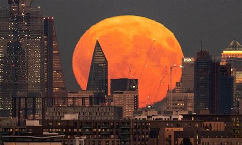 Awesome In Orange Super Bright Harvest Moon Glows In The Sky Daily