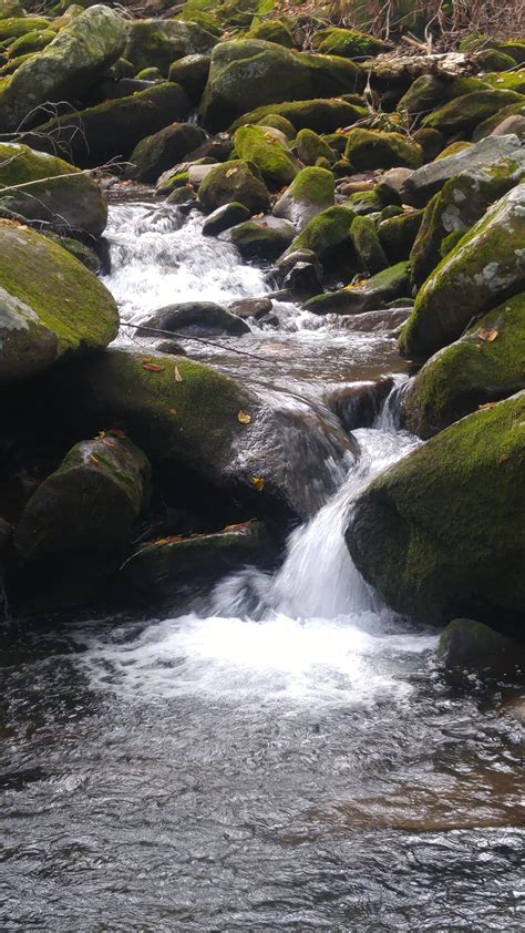Free Stock Photo Of Moss Covered Rocks Mountain Stream Nature Photography