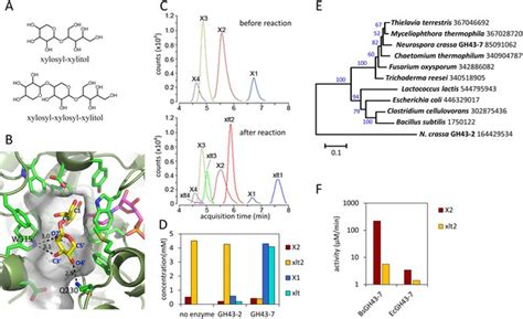 Maybe you would like to learn more about one of these? Expanding xylose metabolism in yeast for plant cell wall ...
