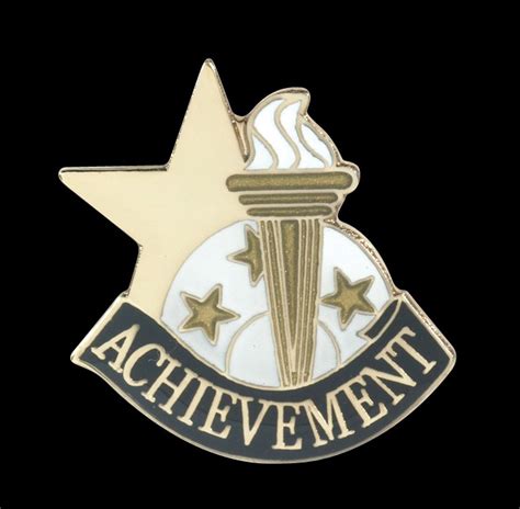Achievement Academic Achievement Pin 68110g Decorated Products 2