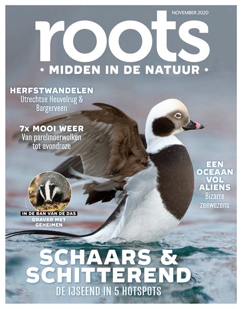 Nu Verkrijgbaar De Nieuwe Roots Van November 2020 Roots Magazine