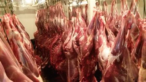 We value you as our customers and we happy to let you know we have not changed our basic prices. What to Do at the Deer Processing Plant