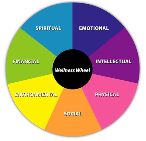 the seven dimensions of wellness all come together to create the wellness wheel wellness