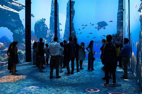 Oceanographic Museum Of Monaco And Aquarium Ticket Compare Price 2023