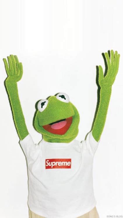 Supreme Kermit The Frog Tumblr