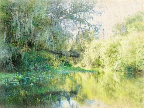Wallpaper Sunlight Landscape Painting Reflection Branch River