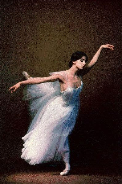 Top 11 Prima Ballerina Assolutas In 2020 Dance Photography