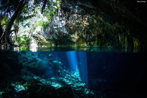 Tulum Cobá Playa Paraiso Cenote Excursiones Tours Trips