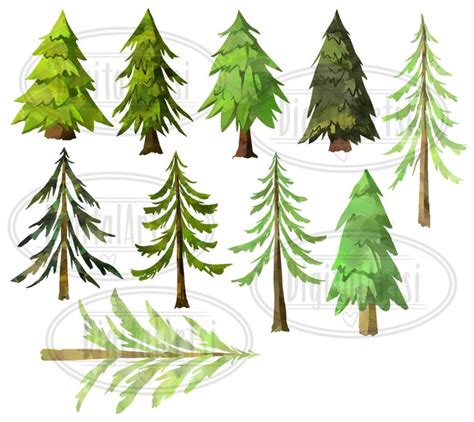 Watercolor Pine Trees Clipart By Digitalartsi Thehungryjpeg Pine Tree Art Pine Tree Drawing