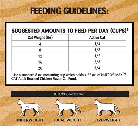 The best wet cat food options can vary depending on the age, health, and nutritional needs of your individual cat. How Much To Feed A Cat Chart - petfinder