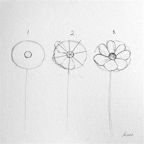 Korejska Slikarka Pokazuje Kako Nacrtati Savršene Cvetove U Tri Laka