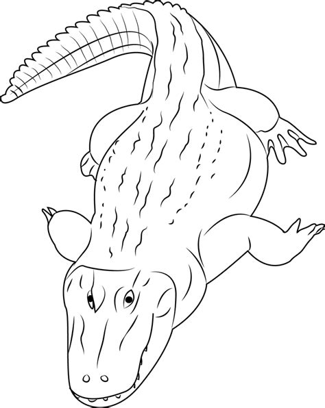 Coloring pages for kids and adults. Black Caiman Coloring Page - Free Alligator Coloring Pages ...