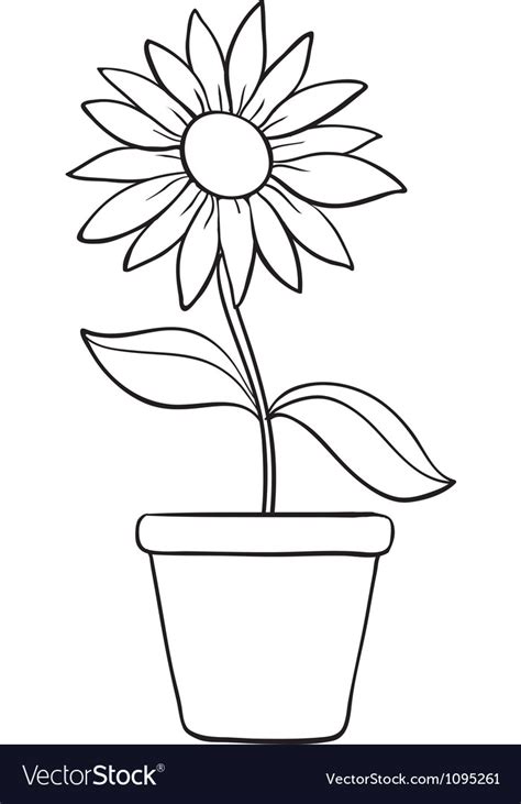 Draw a small lengthy rectangle. A flower and a pot sketch Royalty Free Vector Image