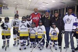 Player overview & base stats. musings of a hockey mom: Happy Hockey is for Everybody Month!
