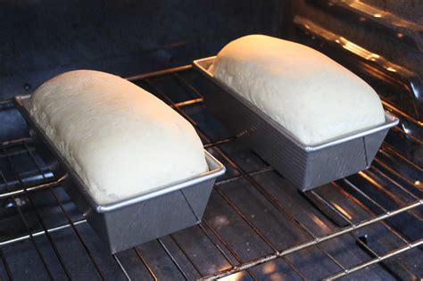 Homemade Bread Recipe & Tips