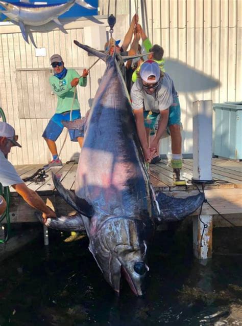 Florida Couple Land Record Breaking Swordfish That Fought For Eight