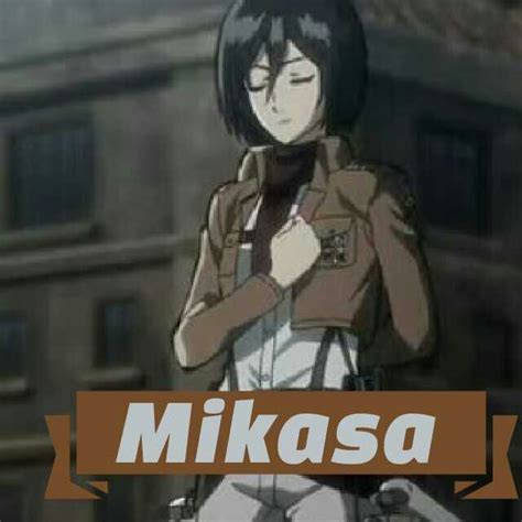 mikasa ackerman wiki anime amino