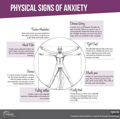 Physical Signs Of Anxiety Infographic Bayside Psychotherapy