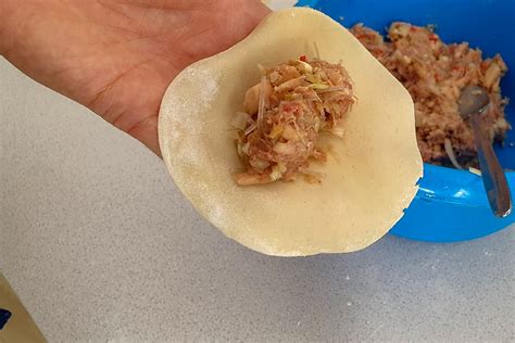 Gogi Mandu Koreanische Teigtasche mit Fleisch Rezept japanische koreanische Rezepte