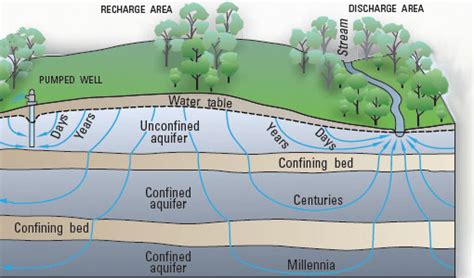 Groundwater Discharge The Water Cycle From Usgs Water Science School