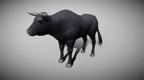 Bull Animated Buy Royalty Free 3d Model By Bilal Creation Production